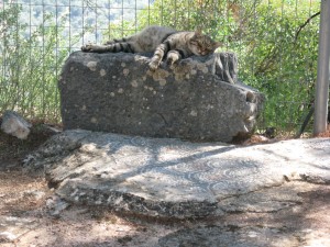 Napping over ancient mosaics on the way to the Temple of Delphi