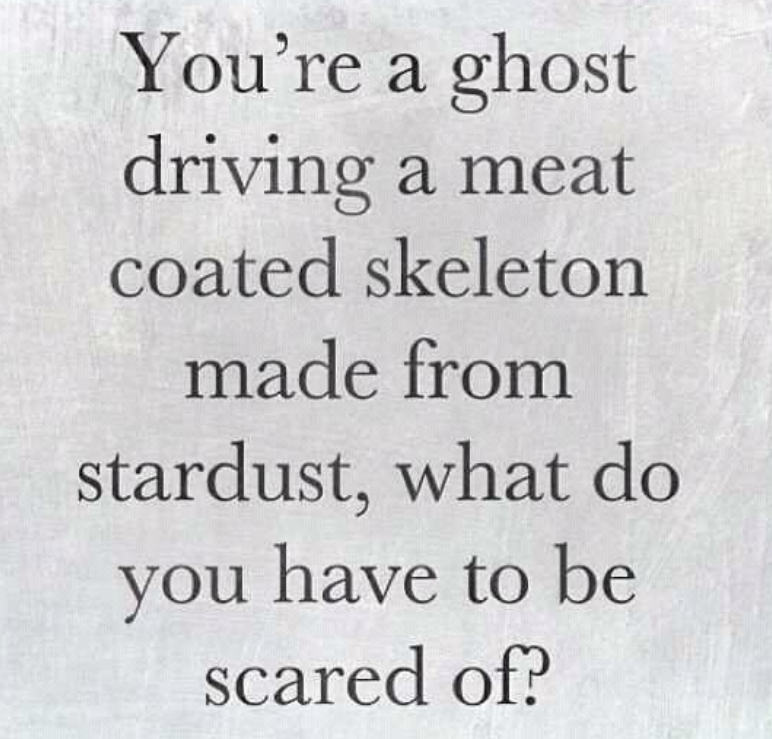 Reblogged from Porkbeard, www.criminalwisdom.com
