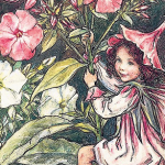 image by Cicely Mary Barker